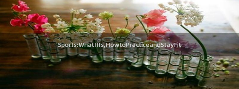 风暴体育软件有病毒吗：Sports:WhatItIs,HowtoPracticeandStayFit