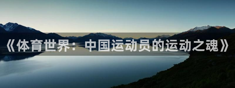 风暴体育