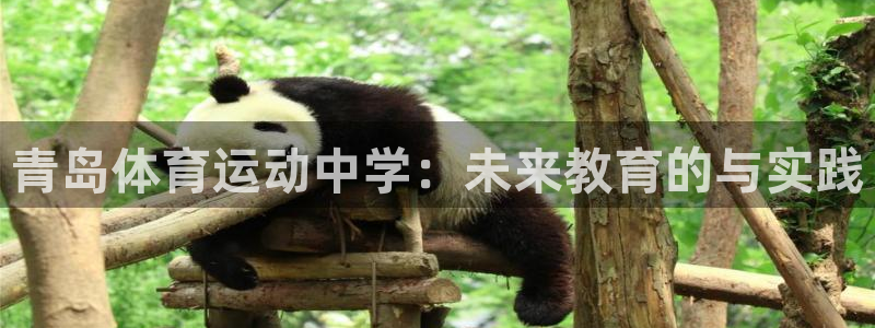 体坛风暴体育知识
