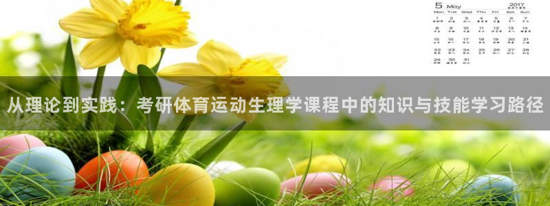 风暴体育