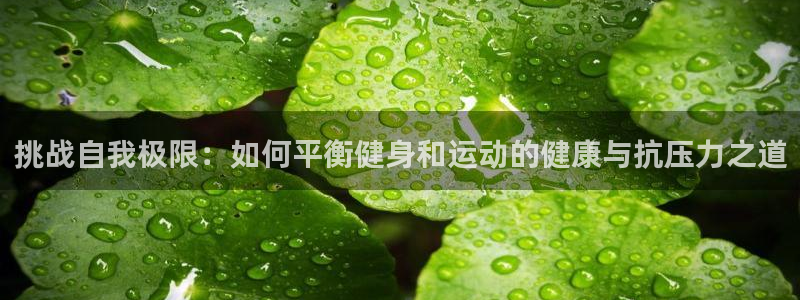 风暴体育app：挑战自我极限：如何平衡健身和运动的健康与抗压力之道