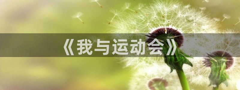 风暴体育篮球直播：《我与运动会》